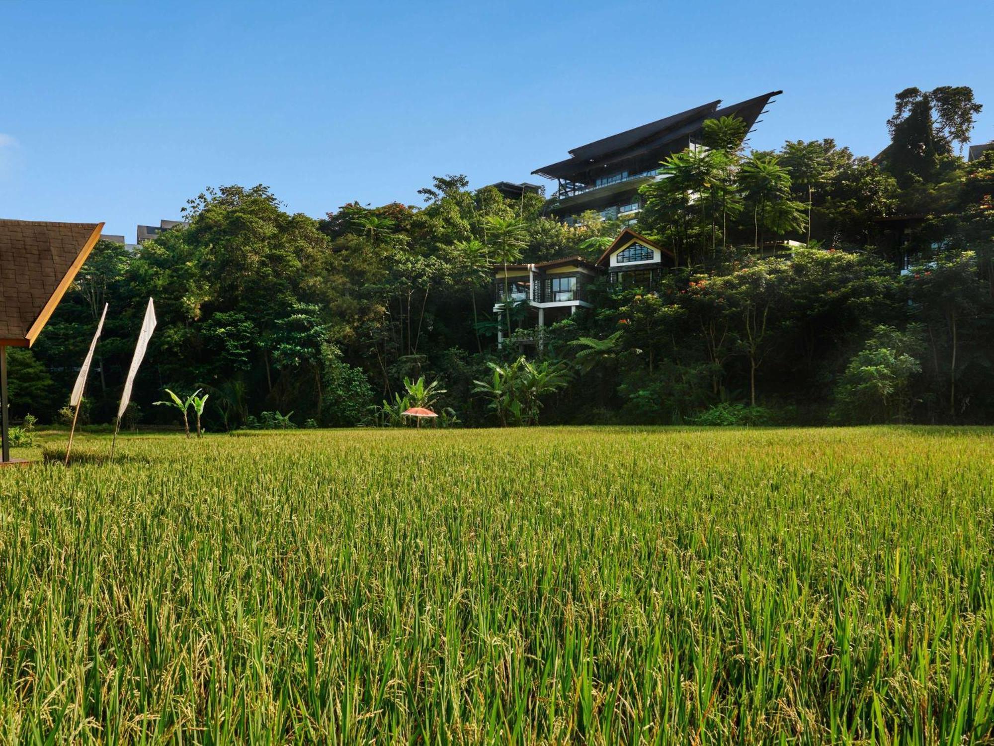 Pullman Ciawi Vimala Hills Resort Bogor Dış mekan fotoğraf